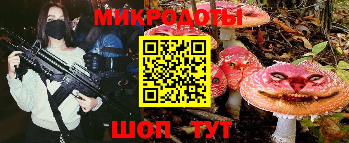 Тихвин  Галлюциногенные грибы Psilocybe  Вход с VPN  Галлюциногенные грибы Psilocybe 
